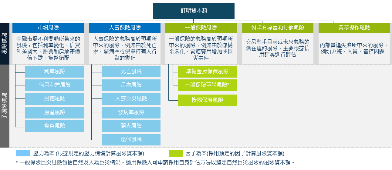 訂明資本額